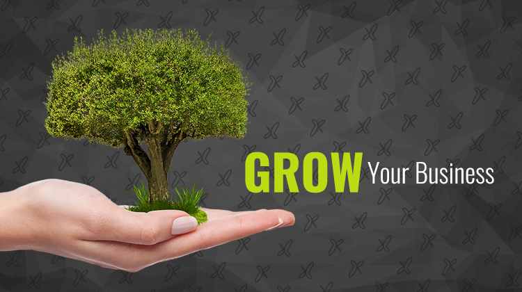 How to Grow your Business Using the Internet